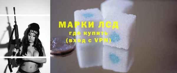 ECSTASY Белокуриха