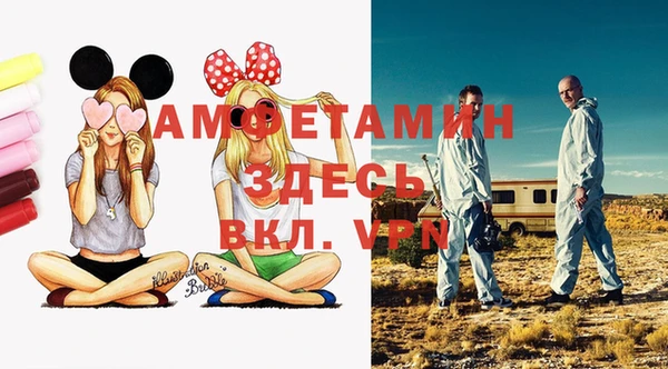индика Белоозёрский