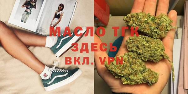 индика Белоозёрский