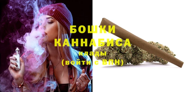ECSTASY Белокуриха